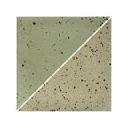 WMS 2005 B Gres Caqui moteado 10 kg
