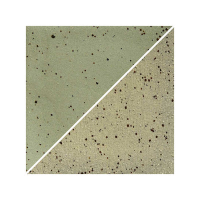 WMS 2005 B Gres Caqui moteado 10 kg