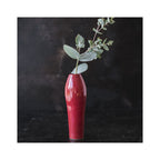 Esmalte BOTZ PRO 9620 Ruby Red 200ml