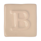 Esmalte BOTZ PRO 9300 Transparent 200ml